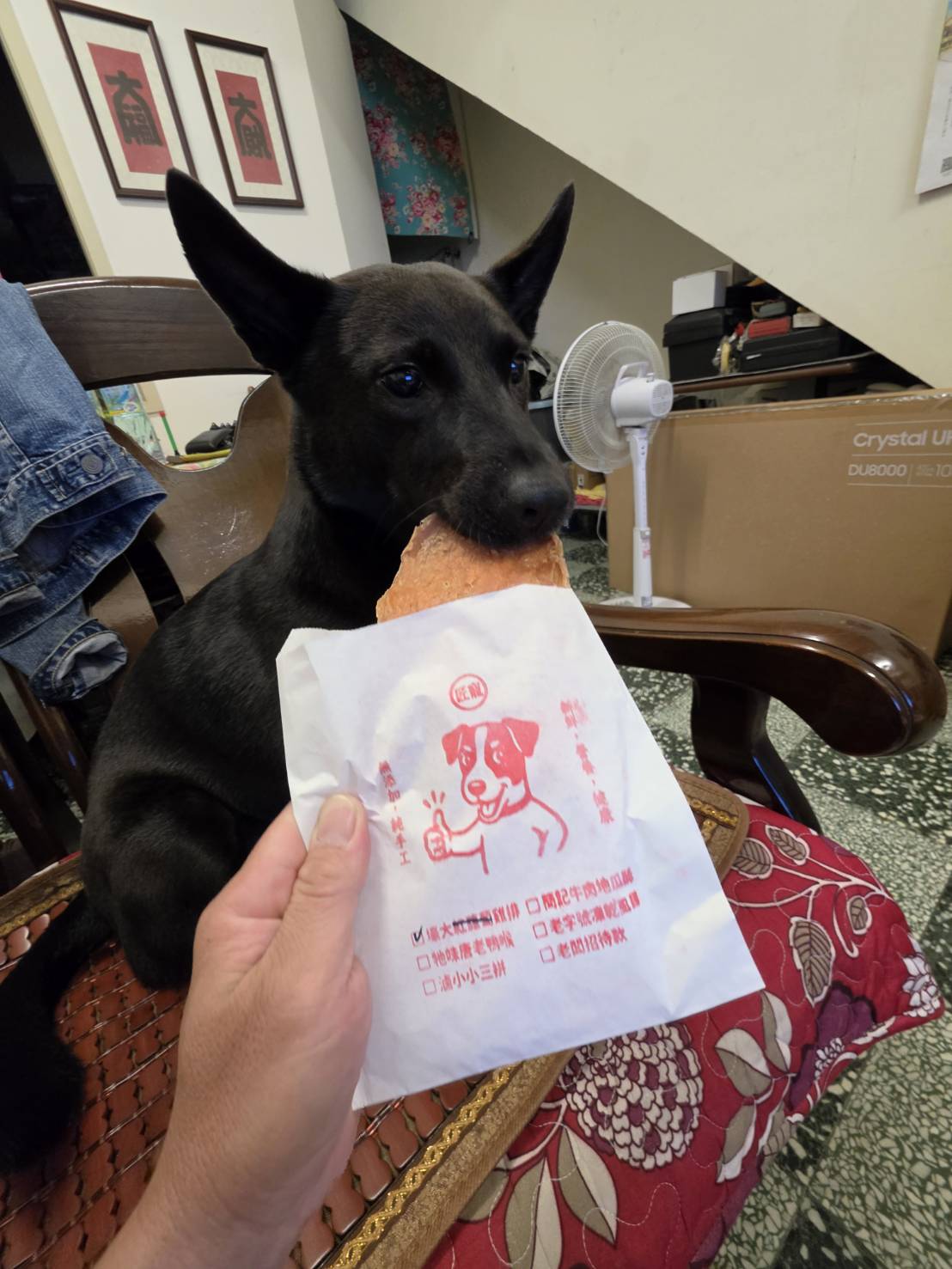 發貴咬著飼主手中紙袋裡的雞霸雞排